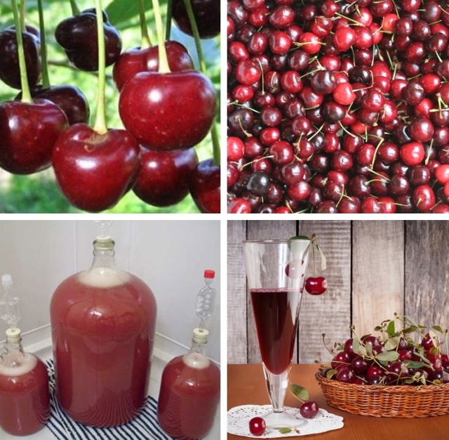 Вино из вишни с косточками в домашних условиях: простой рецепт