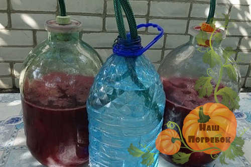 Вино из вишни с косточками в домашних условиях: простой рецепт