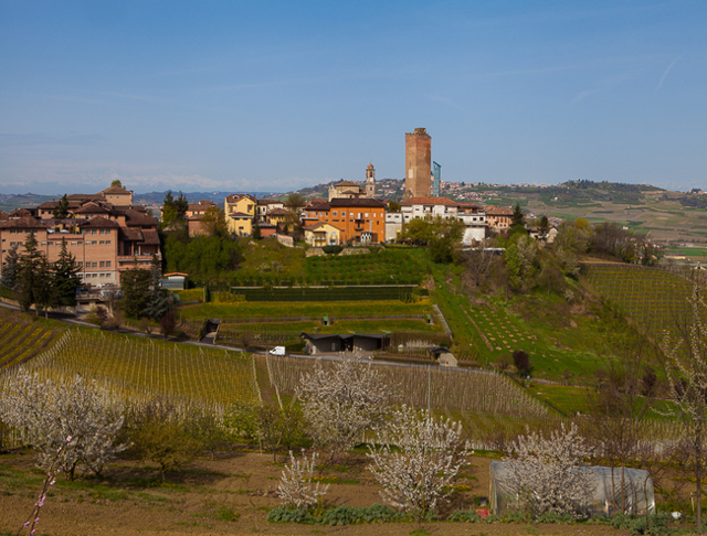 Вино Барбареско: особенности, известные марки, культура пития